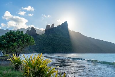 Découverte Polynésie