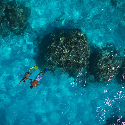 Baignade - Snorkeling Polynésie