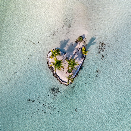 Baignade - Snorkeling Polynésie