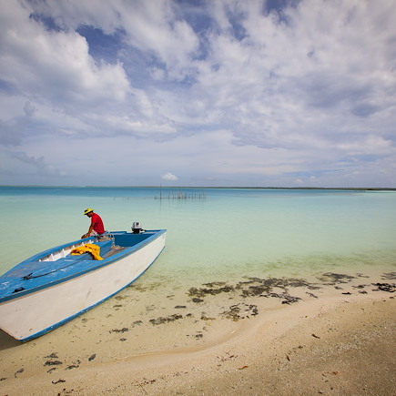 Baignade - Snorkeling Polynésie