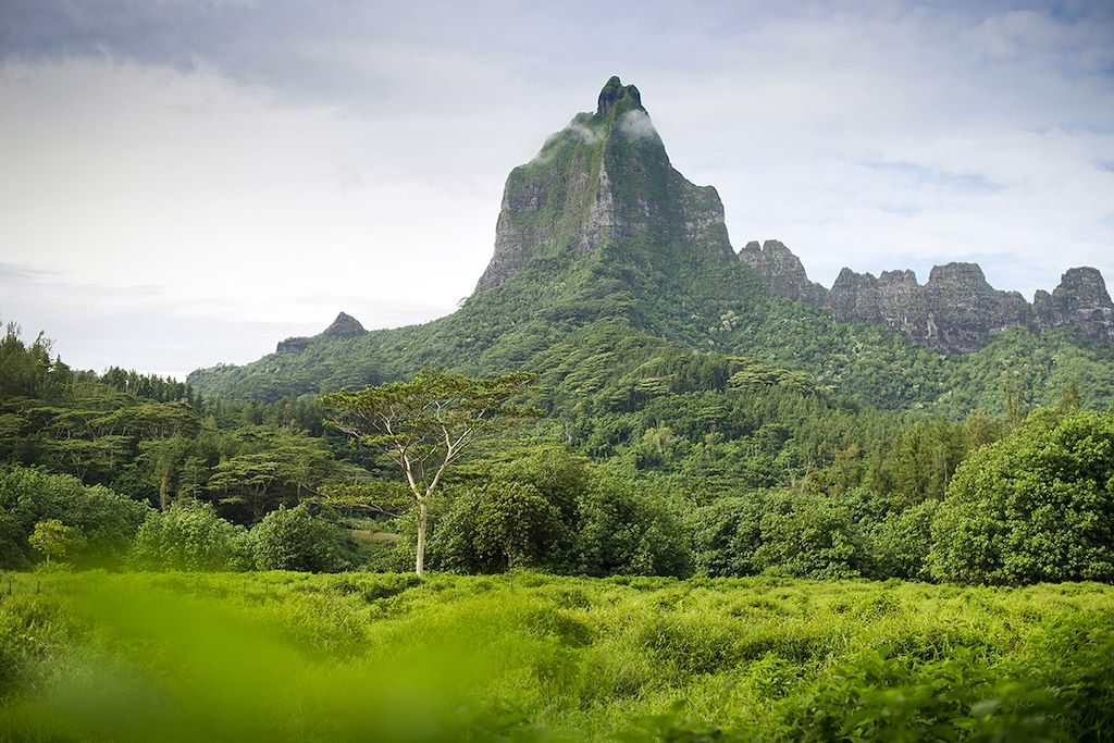 Image Randonnée Moorea - Bivouac Tahiti - Lagon de Rangiroa