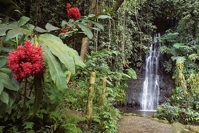 Jardin - Papeete - Tahiti - Polynésie française