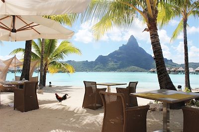Vue sur le mont Otemanu depuis une plage de Bora-Bora - Polynésie française