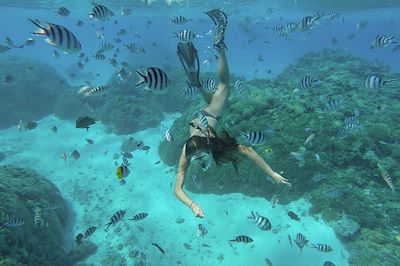 Snorkeling - Polynésie française