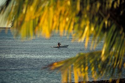 De Tahiti à Bora Bora, cap sur les iles !