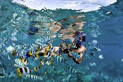 Snorkeling - Polynésie française