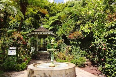 © Emilie Pericat et Marianne Hourcade - Maison Folio - Hellbourg - Salazie - La Réunion Maison Folio - Hellbourg - Salazie - La Réunion
