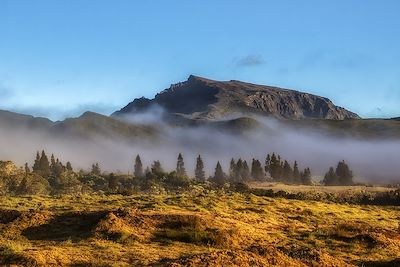 Plaine des Caffres - La Réunion