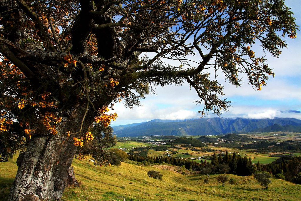 Voyage Traversée intégrale de l'île de la Réunion  3