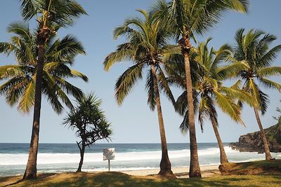 Grande Anse, le Sud Sauvage - Île de la Réunion - France