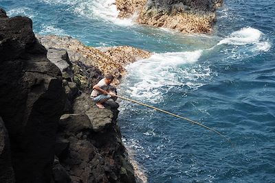Pêcheur sur la côte sauvage - Île de la Réunion - France