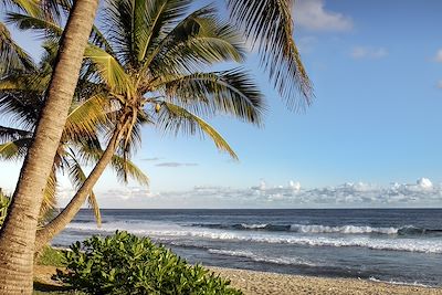 © Frog 974/stock.adobe.com - Plage de Grande-Anse - La Réunion Plage de Grande-Anse - La Réunion