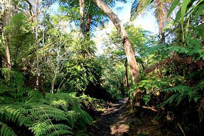 Voyage Réunion