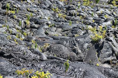 Coulée de lave - La Réunion