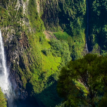 Découverte Réunion