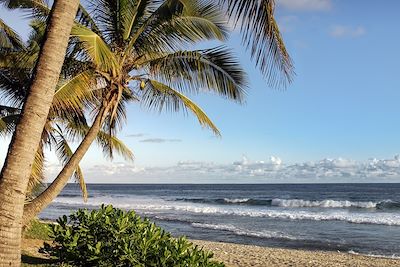 Plage de Grande-Anse - La Réunion