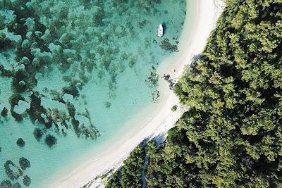 © Pierre Dalais / Getty Images - Vue aérienne plage et forêt - Ile Maurice Vue aérienne plage et forêt - Ile Maurice