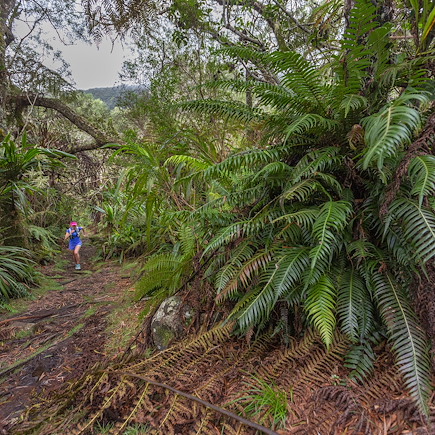 Trek Réunion