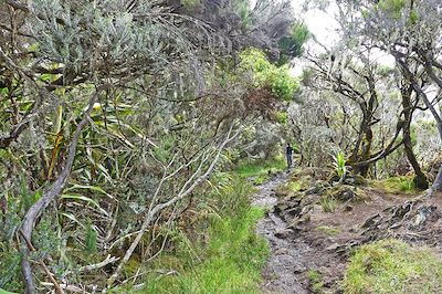 © Marianne Furlani - Massif du Dimitile - La Réunion Massif du Dimitile - La Réunion