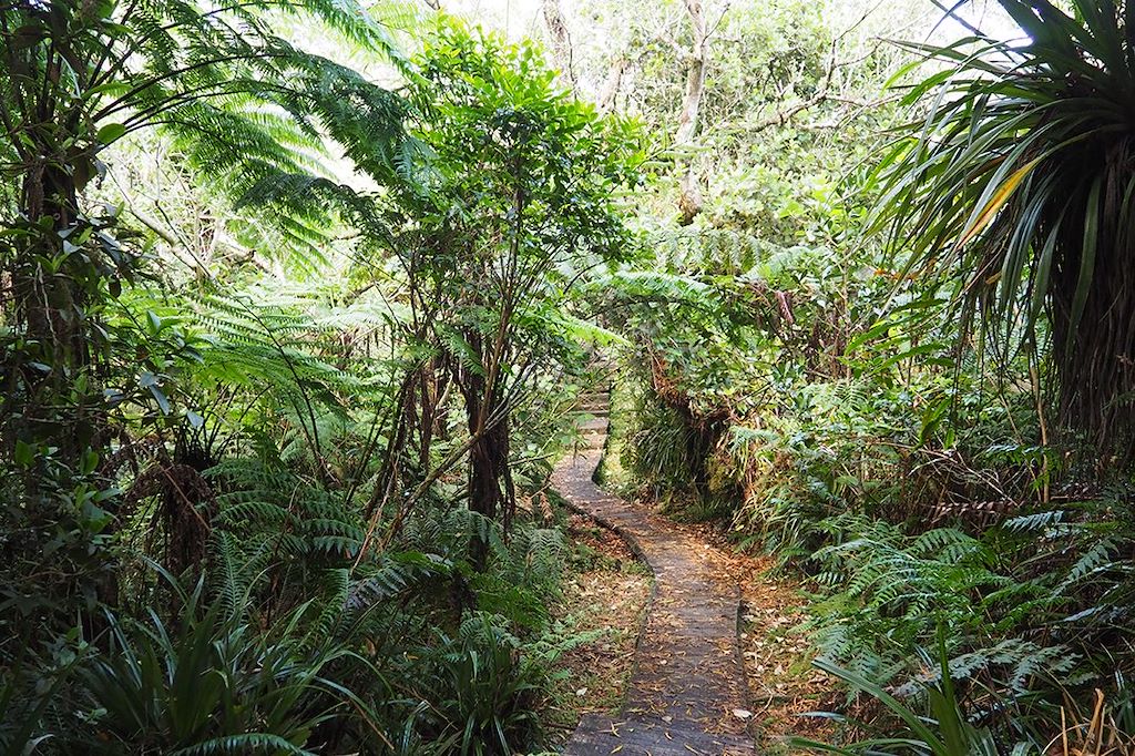 Image La Réunion à vélo - Tour de la Réunion - la plaine des sables à vélo