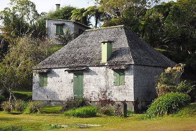 Gîte de Belouve - Île de la Réunion - France