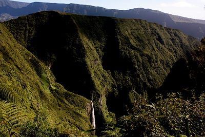 © Julie Saint-Bonnet - Trou de Fer - La Réunion Trou de Fer - La Réunion