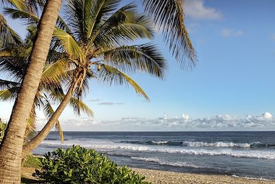 © Frog 974/stock.adobe.com - Plage de Grande-Anse - La Réunion Plage de Grande-Anse - La Réunion