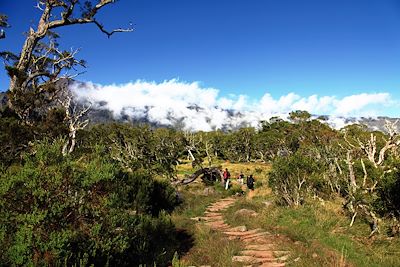 Voyage Randonnée sur l'île volcan 1