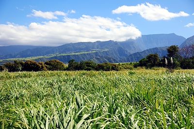 Réunion