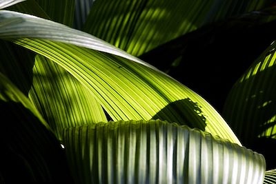 Réunion