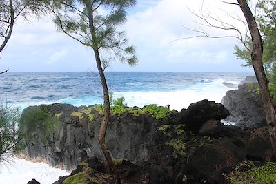 Pointe du Tremblet - La Réunion 