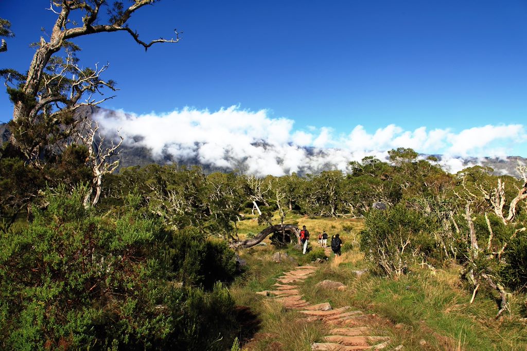 Image Cirque De Salazie - Cilaos - Randonnée Plaine Des Sables - Lagon De Saint Gilles