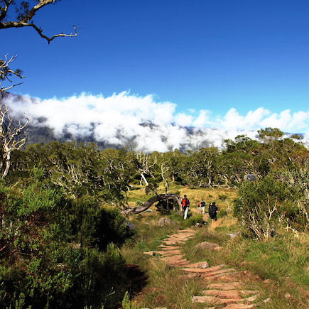 Randonnée Réunion
