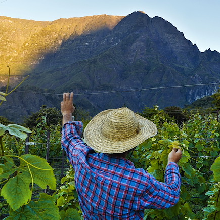 Découverte Réunion
