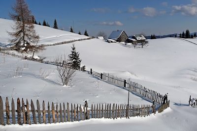 Neiges magiques de Bucovine