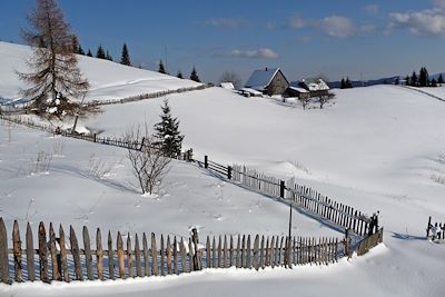 Village typique en Bucovine - Roumanie