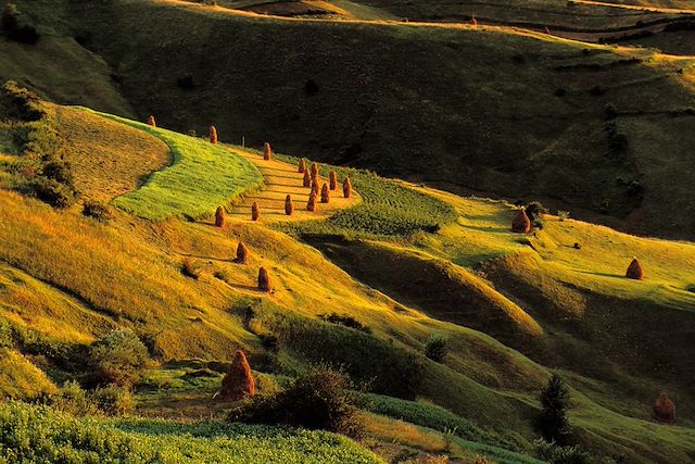 Voyage Maramures, Transylvanie, monts Apuseni