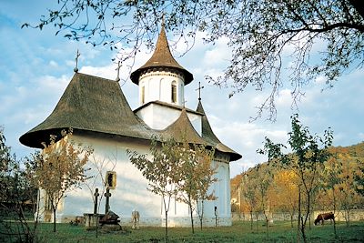 Sucevita - Bucovine - Roumanie