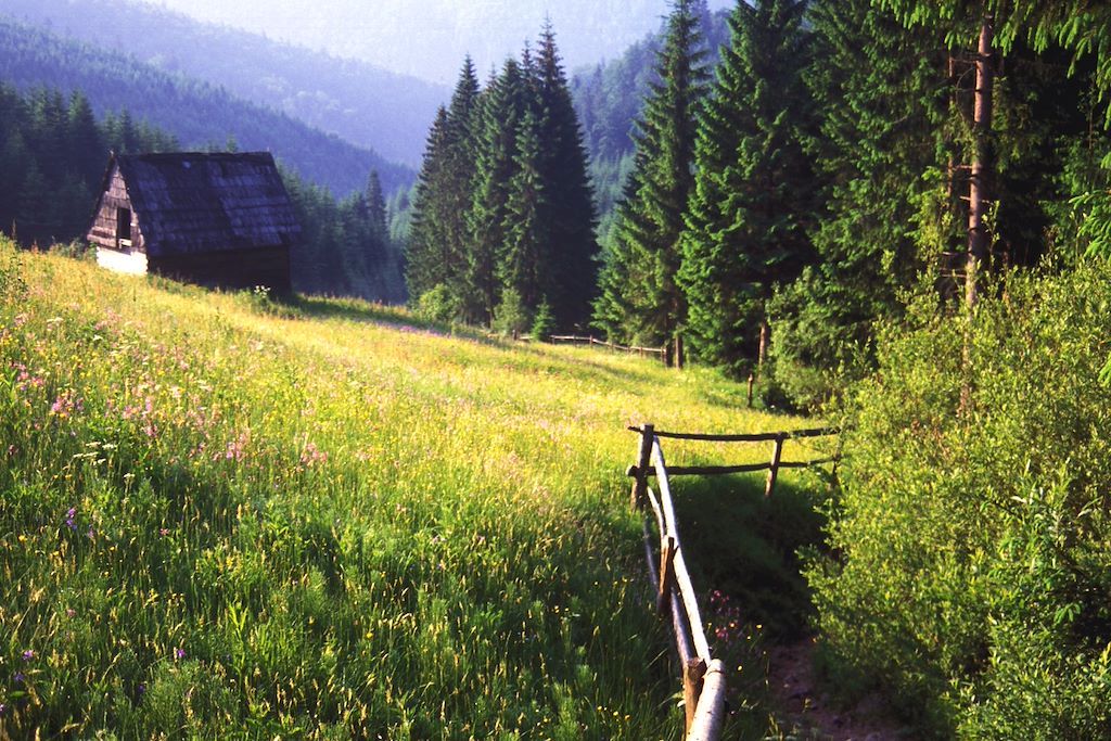 Image Randonnée Entre Transylvanie Maramures Et Apuseni - Citadelles Saxonnes De Transylvanie