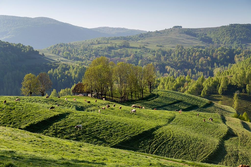Image Randonnée Entre Transylvanie Maramures Et Apuseni - Citadelles Saxonnes De Transylvanie