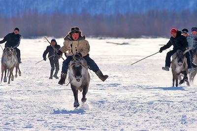 Courses à dos de renne durant les fêtes des éleveurs de rennes - Russie