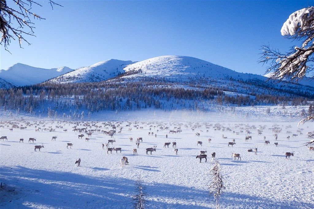 Voyage Chez les éleveurs de rennes de Yakoutie