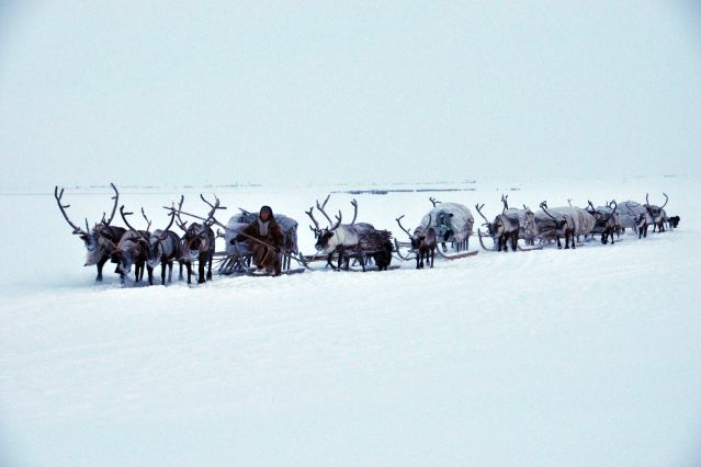 Image A la rencontre du peuple des Nenets