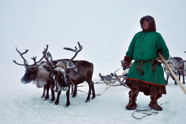 Image A la rencontre du peuple des Nenets