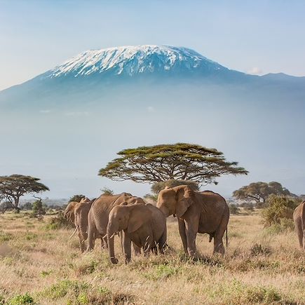 Observation animalière Rwanda