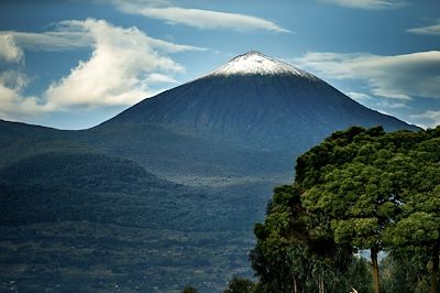 © Visit Rwanda - Parc national des volcans - Rwanda Parc national des volcans - Rwanda