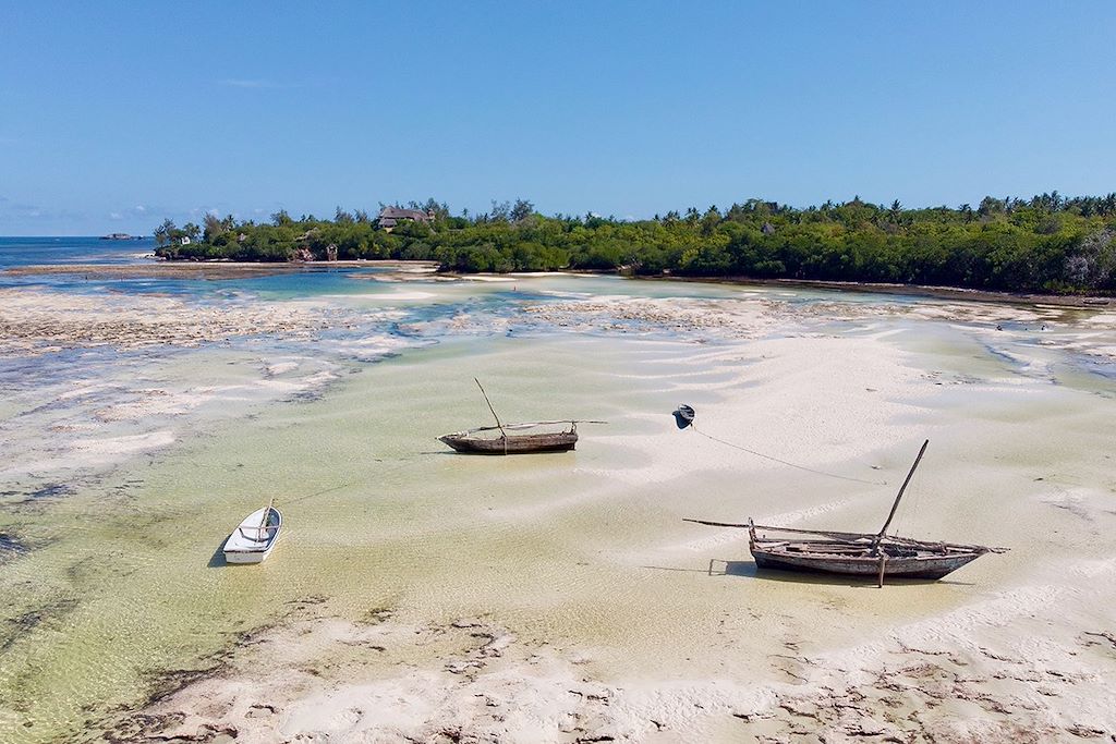 Image trek gorilles de montagne - navigation Watamu - rencontre Ibyiwacu
