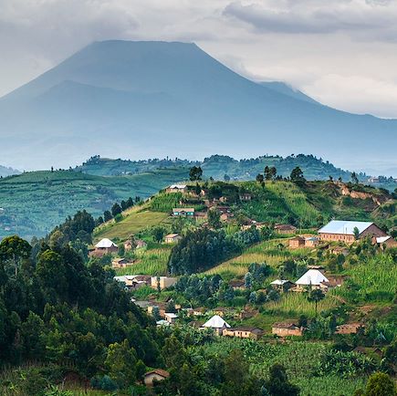Safari Rwanda