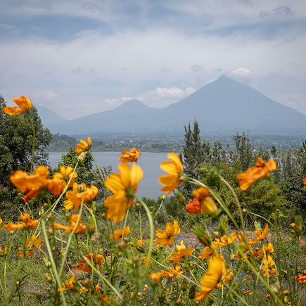 Safari Rwanda