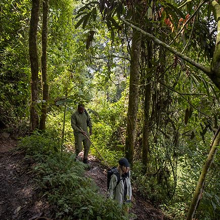 Safari Rwanda
